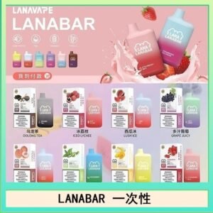 LANA BAR可充电一次性電子煙霧化5000口(3.0%)